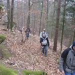 Le Wineck * Dambach