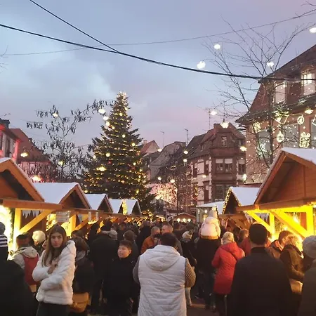 Дом отдыха Le Wineck *