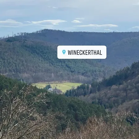 Дом отдыха Le Wineck Dambach