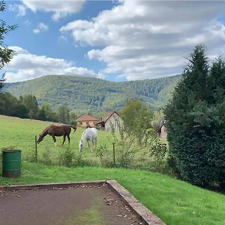 Дом отдыха Le Wineck Dambach