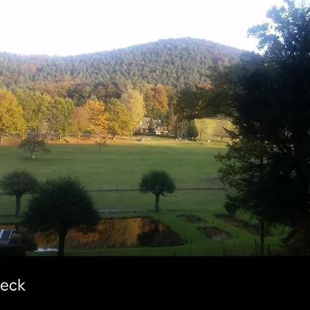 Le Wineck * Dambach