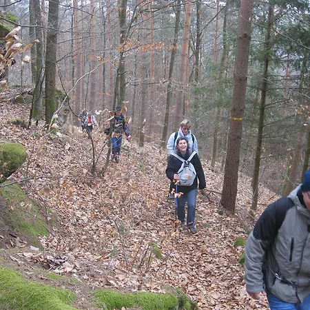 Le Wineck * Dambach