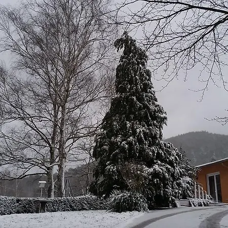 Le Wineck Holiday home